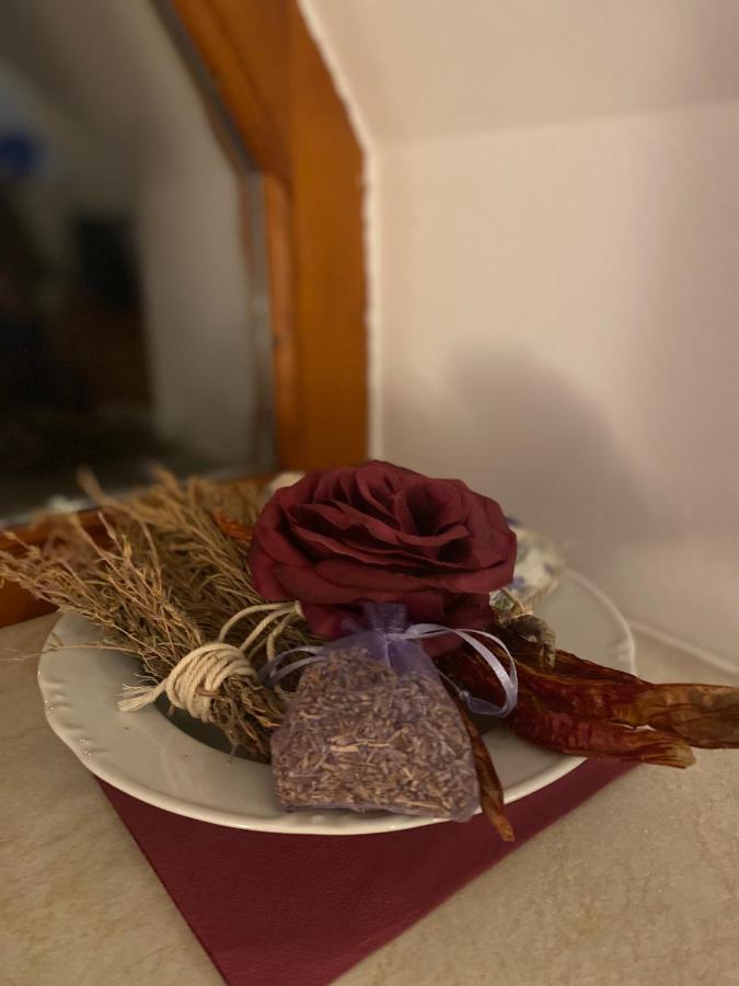 Restaurace U Vlkove Hotel Kamenice Kültér fotó